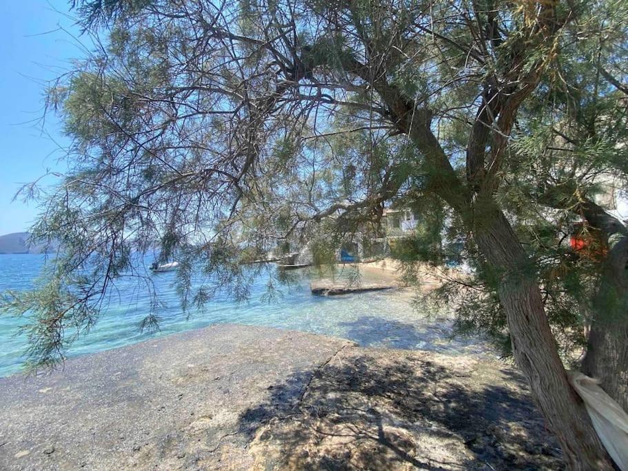 פלאקה Casa Del Mar Milos מראה חיצוני תמונה